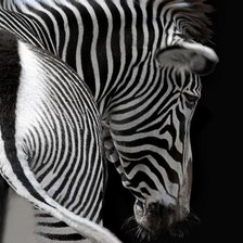 Cross stitch pattern: #1917738