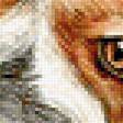 Preview of cross stitch pattern: #1920680