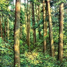 Cross stitch pattern: #1922405