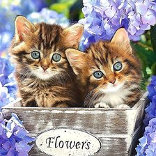 Cross stitch pattern: #1922710