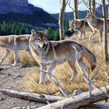 Cross stitch pattern: #1923931