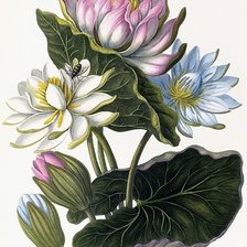 Cross stitch pattern: #1925166