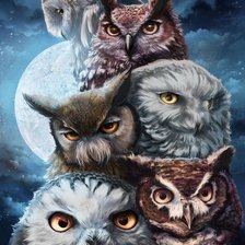 Cross stitch pattern: #1925640
