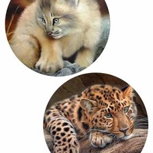 Cross stitch pattern: #1926432