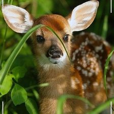 Cross stitch pattern: #1928015
