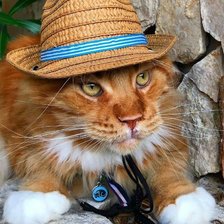 Cross stitch pattern: #1928247