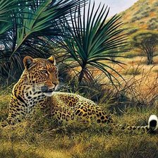 Cross stitch pattern: #1928364