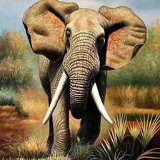 Cross stitch pattern: #1929053