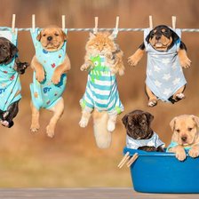 Cross stitch pattern: #1929717