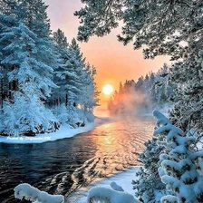 Cross stitch pattern: #1931591