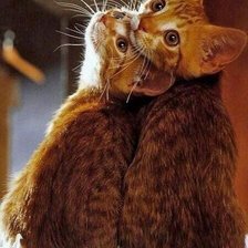 Cross stitch pattern: #1931600