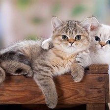 Cross stitch pattern: #1931777