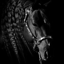 Cross stitch pattern: #1933777