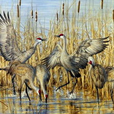 Cross stitch pattern: #1935058