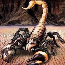 Cross stitch pattern: #1935108