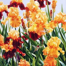 Cross stitch pattern: #1935199