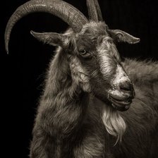 Cross stitch pattern: #1936434