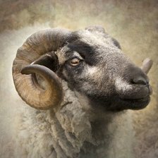 Cross stitch pattern: #1936787