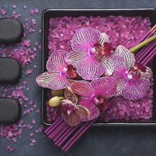 Cross stitch pattern: #1936915