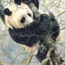 Cross stitch pattern: #1937021