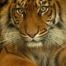 Cross stitch pattern: #1937155