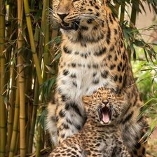 Cross stitch pattern: #1937313