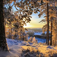 Cross stitch pattern: #1937639