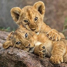 Cross stitch pattern: #1938127