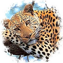 Cross stitch pattern: #1938296