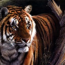 Cross stitch pattern: #1938841