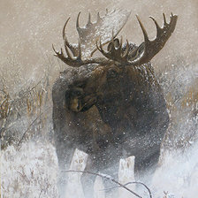 Cross stitch pattern: #1939262