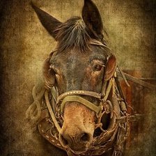 Cross stitch pattern: #1939285