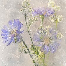 Cross stitch pattern: #1939732