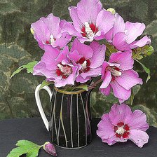 Cross stitch pattern: #1939736