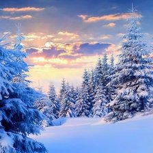 Cross stitch pattern: #1939818