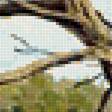 Preview of cross stitch pattern: #1939899