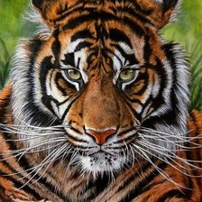 Cross stitch pattern: #1939902