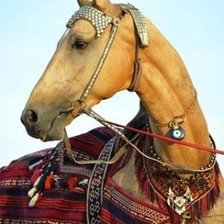 Cross stitch pattern: #1939967
