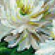 Preview of cross stitch pattern: #1940242