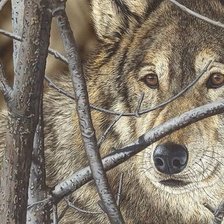 Cross stitch pattern: #1940351