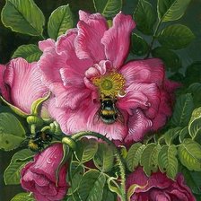 Cross stitch pattern: #1940415