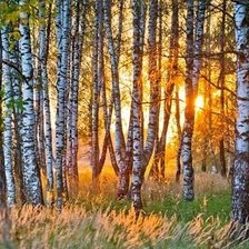 Cross stitch pattern: #1940417