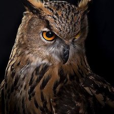 Cross stitch pattern: #1942430