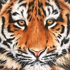 Cross stitch pattern: #1945366