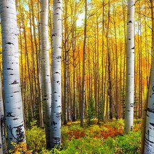 Cross stitch pattern: #1945713