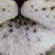 Preview of cross stitch pattern: #1945835