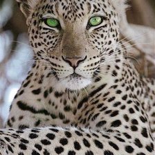 Cross stitch pattern: #1945835