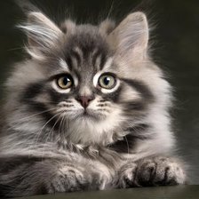 Cross stitch pattern: #1949421