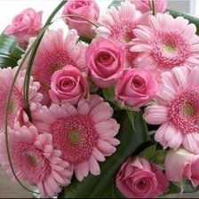 Cross stitch pattern: #1951413