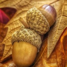 Cross stitch pattern: #1951492